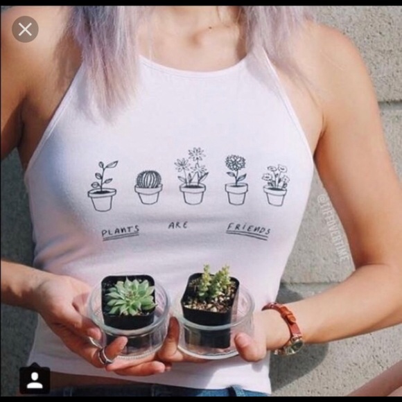 NWT Brandy Melville Plants Are Friends Sachi - Picture 1 of 4